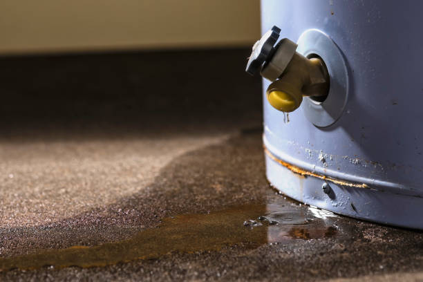 Best Water damage restoration near me  in Woodlake, CA