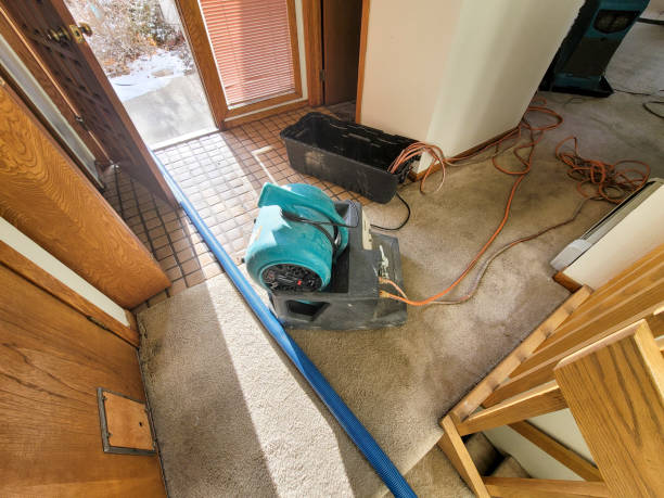 Best Sewage cleanup and water damage restoration  in Woodlake, CA