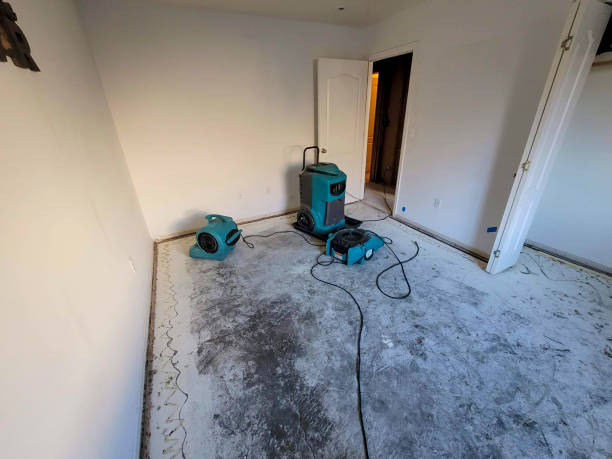 Best Water damage mitigation services  in Woodlake, CA