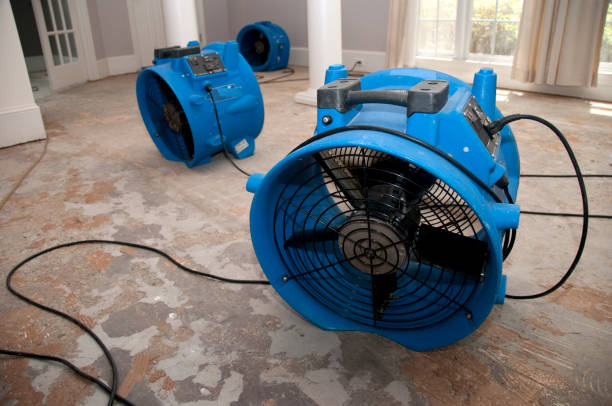 Best Flooded house restoration  in Woodlake, CA