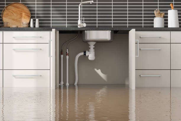 Best Basement water damage restoration  in Woodlake, CA