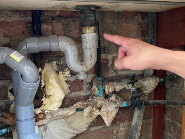 Best Water damage contractors near me  in Woodlake, CA